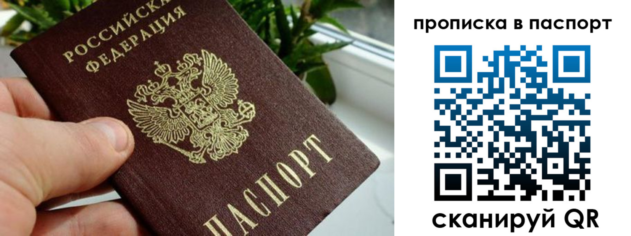 пропишу в квартире в Советске
